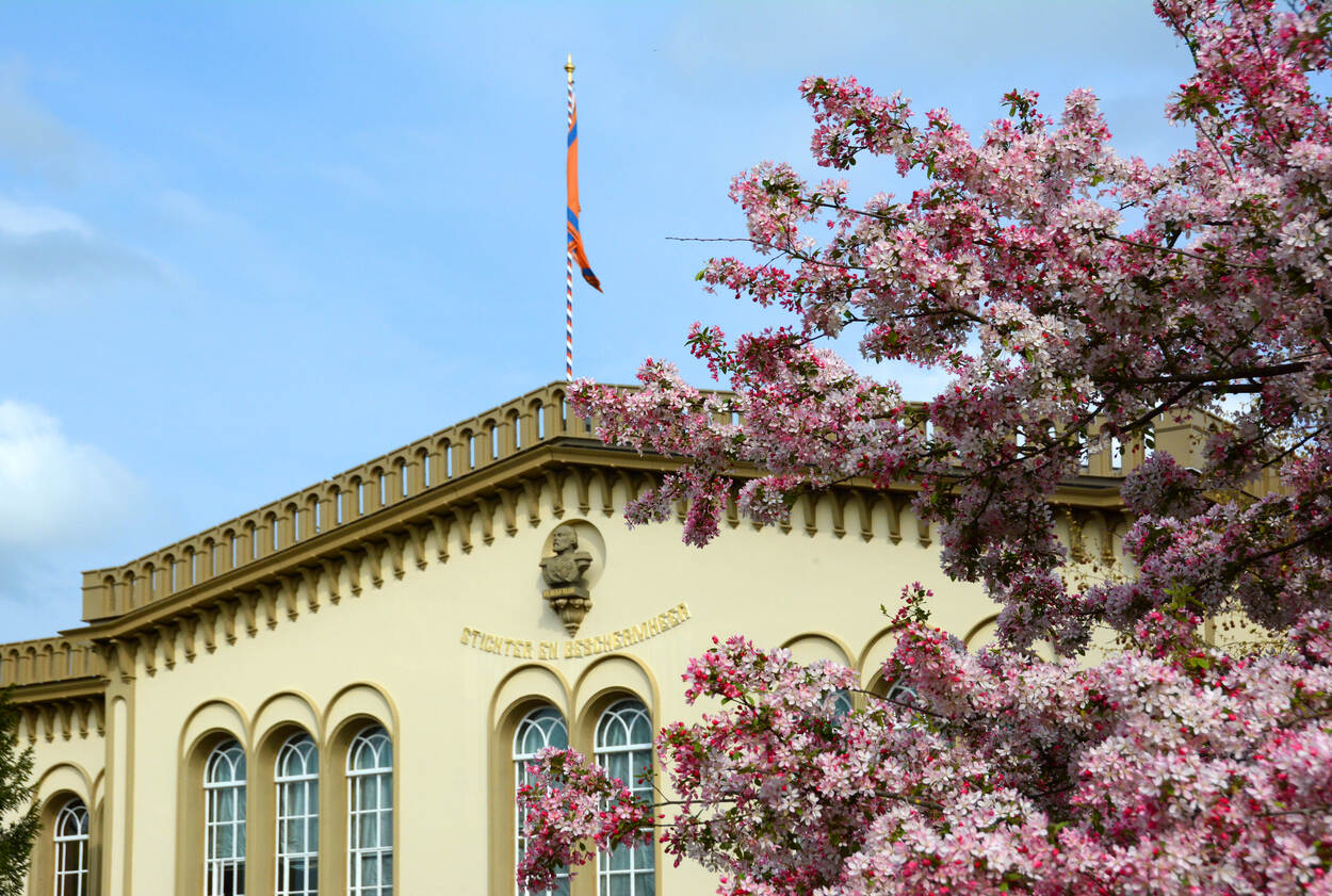 De gevel van het hoofdgebouw met het borstbeeld van Willem III, stichter en beschermheer van Bronbeek, en op de voorgrond een boom in bloei in het vroege voorjaar.